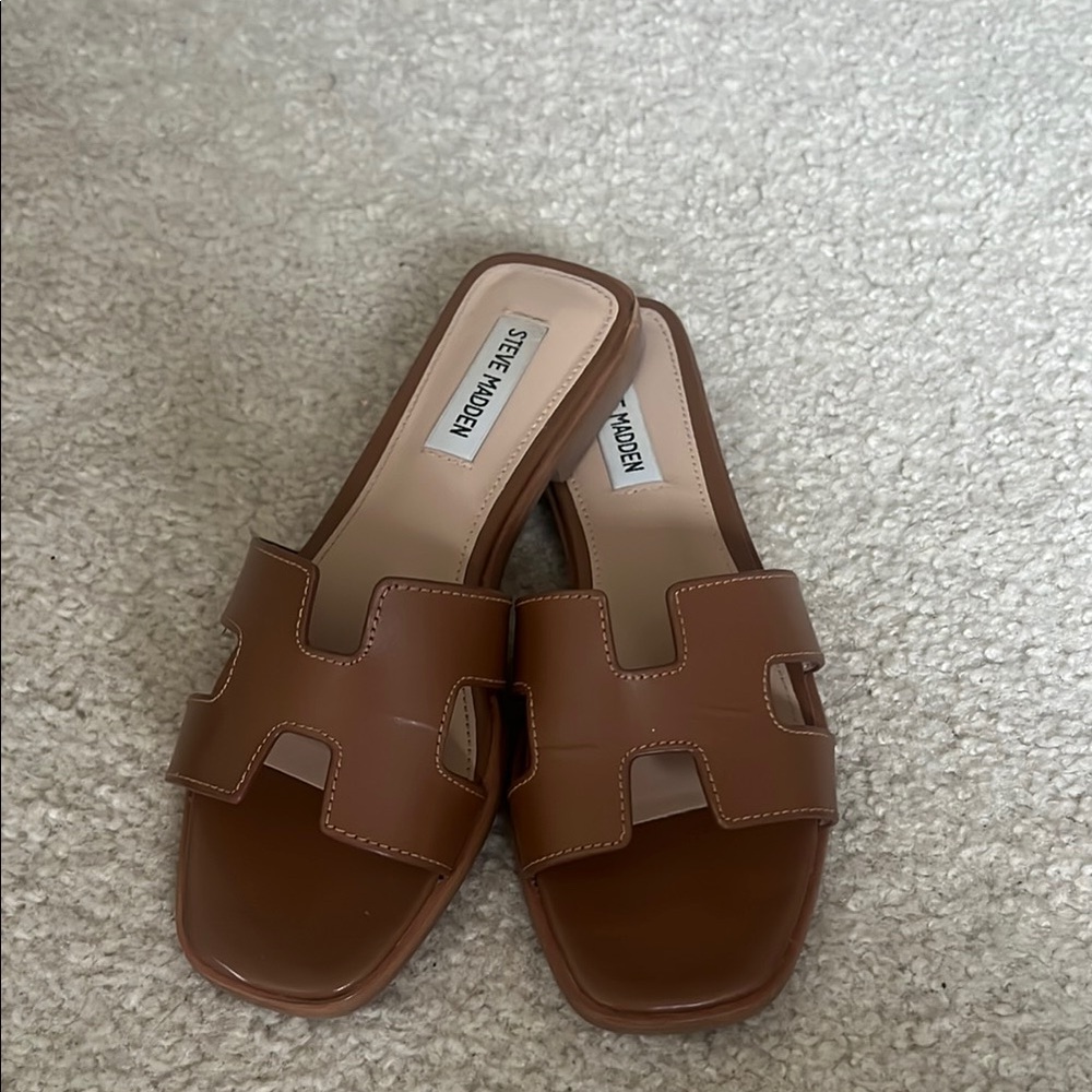 Steve Madden Women's Brown Slide Sandals